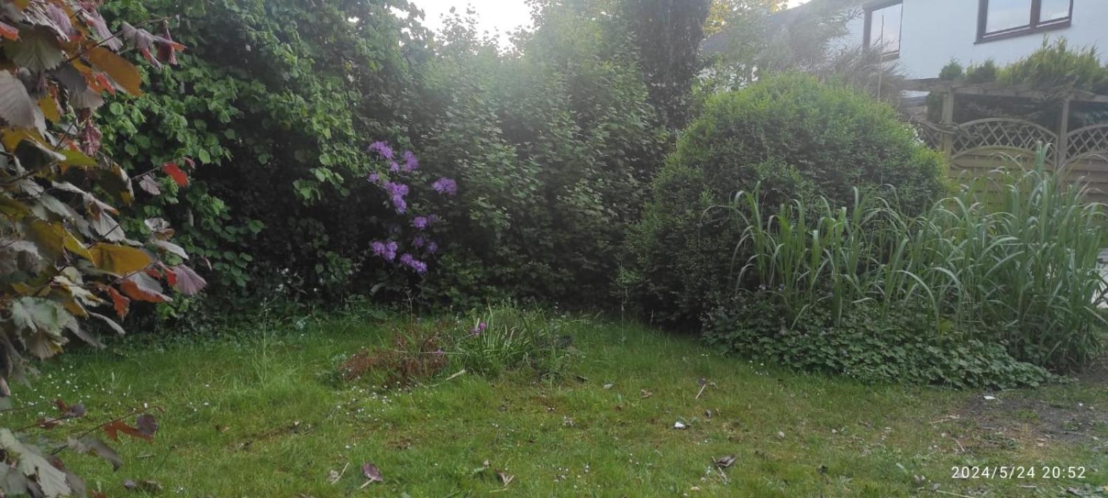 Lilli Flensburg Fewo Exterior foto